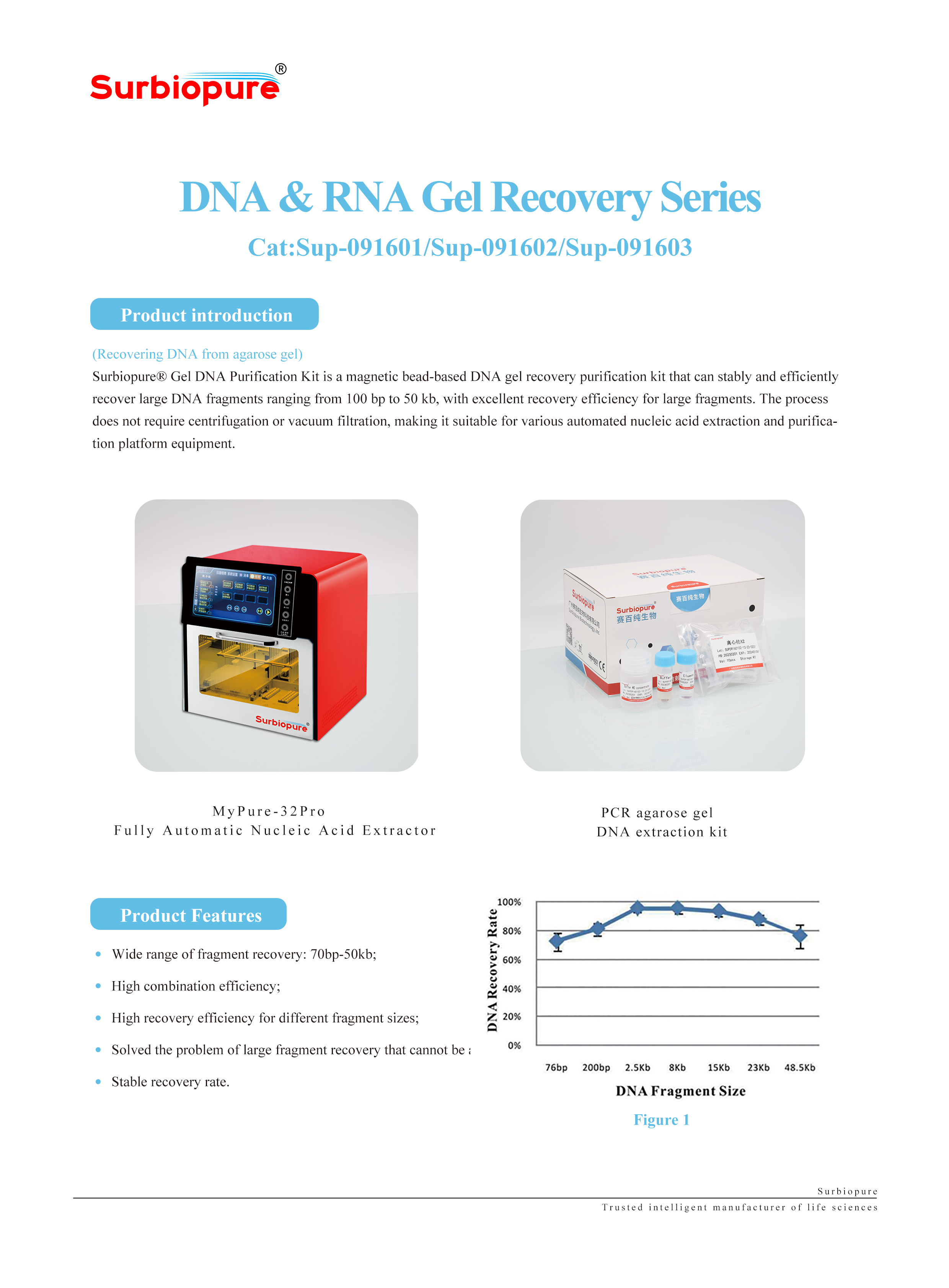 1736934678158916.jpg 畫板 21.jpg